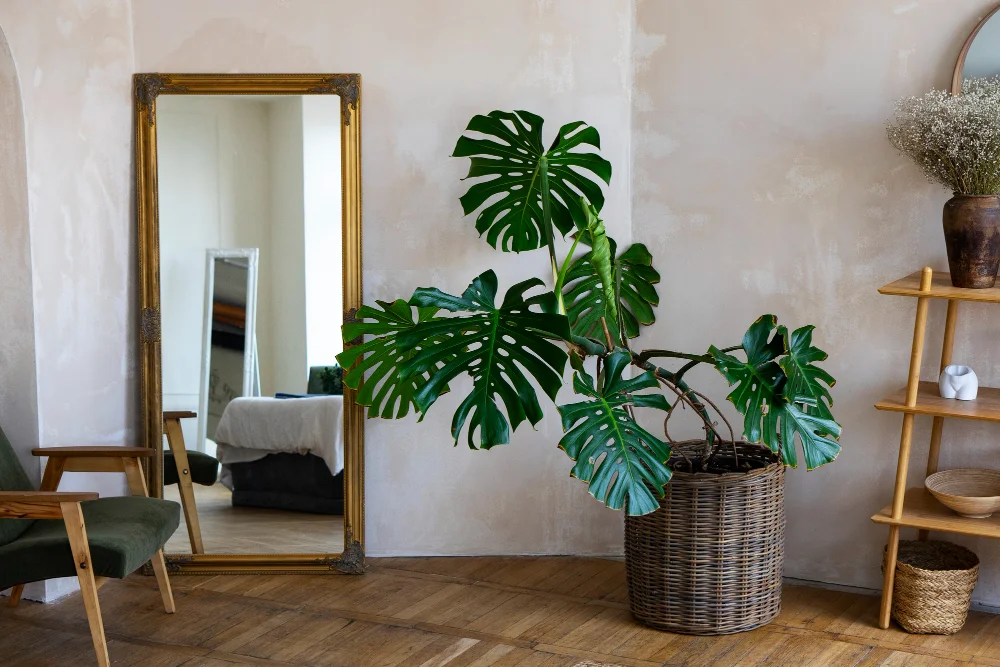 Urban Jungle stílus a belső térben