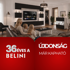 meblościanka heban 300x300 hu